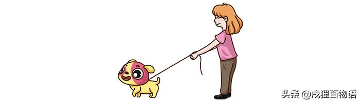 如何让狗狗变得温顺听话,怎么让家里的狗狗接受新来的狗狗