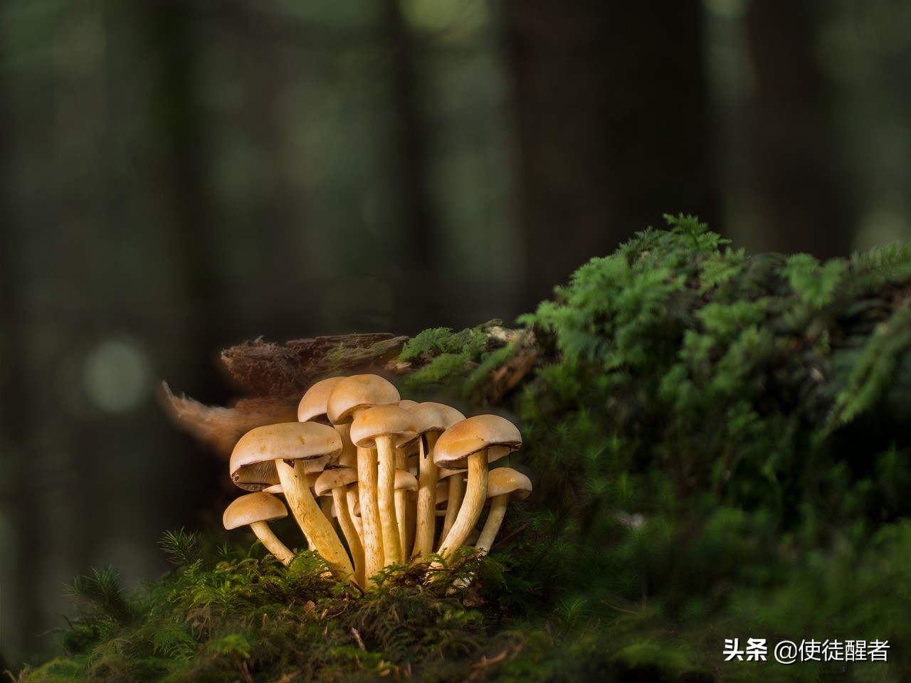 心理学上情绪情感问题如何解决,心理学解决情感婚姻问题