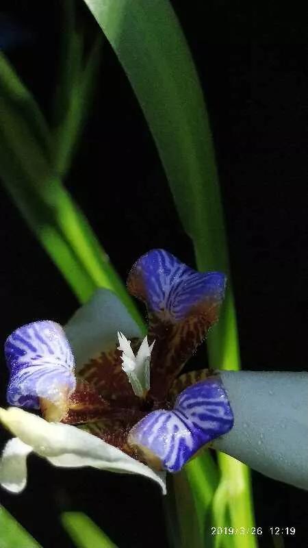 2022年世界手机摄影大赛征稿,手拍世界摄影网