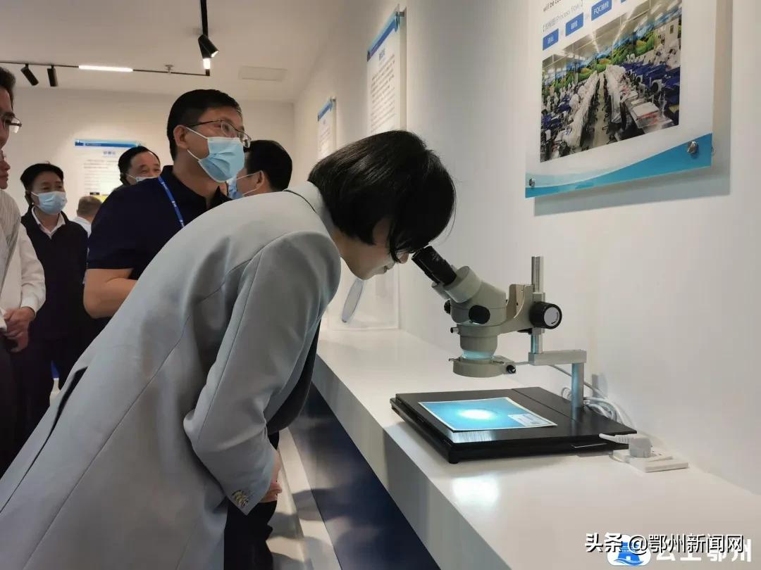 鄂州市乡村振兴拉练新闻视频,鄂州市项目拉练