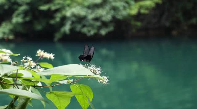 浙江有哪些有瀑布的旅游景点,浙江旅游景点推荐瀑布
