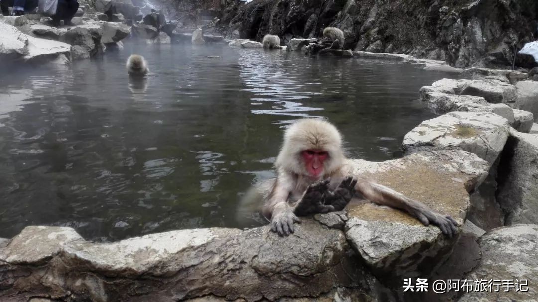 豆瓣9.1分看哭百万人,豆瓣评分9.0却很少有人看懂