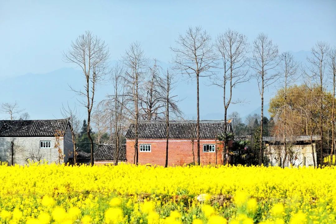 苏州去腾冲旅游攻略,苏州到腾冲旅行攻略