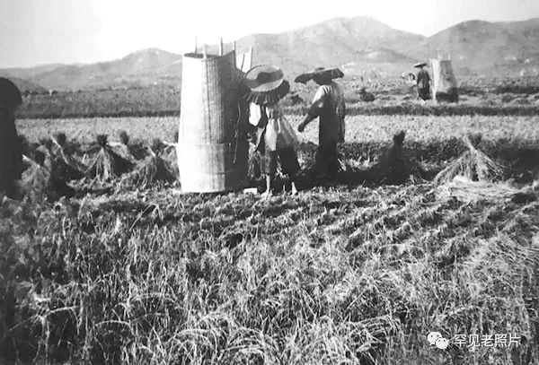深圳市百年前的风景,百年前的深圳您见过吗