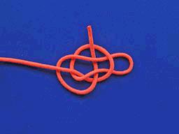 锚鱼钓钩绑线全套方法,如何绑钓钩鱼线