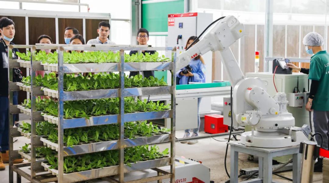 在大山深处幽静绝美的村落,深藏大山中的村落