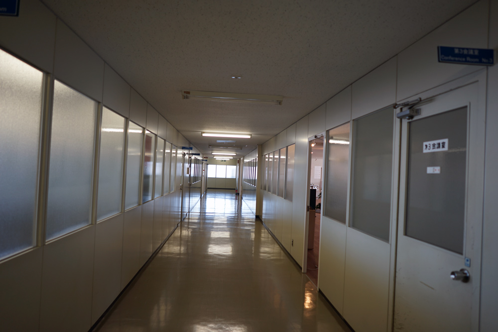 日本天龙马兰士,日本天龙马兰士集团有限公司