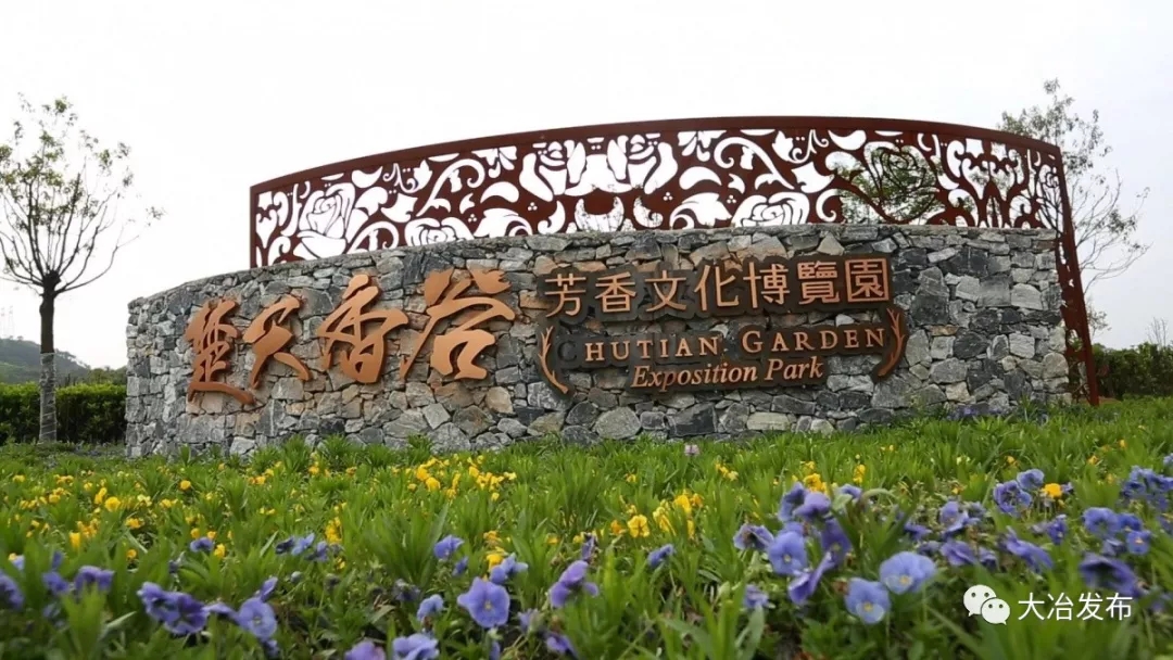 国家对黄石发展的评价,点赞我国取得的发展成就