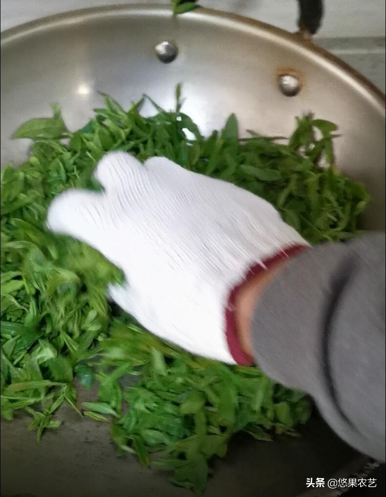 家庭茶叶炒制方法,春天炒绿茶