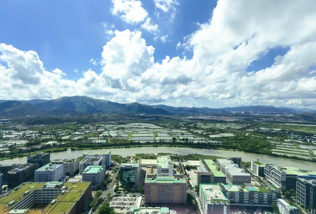 理论中心组进行集体学习,理论学习中心组集体学习计划