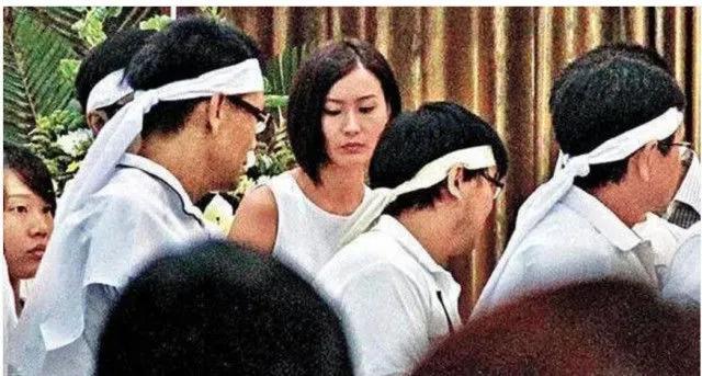 诸葛梓岐婚姻危机,诸葛梓岐豪门