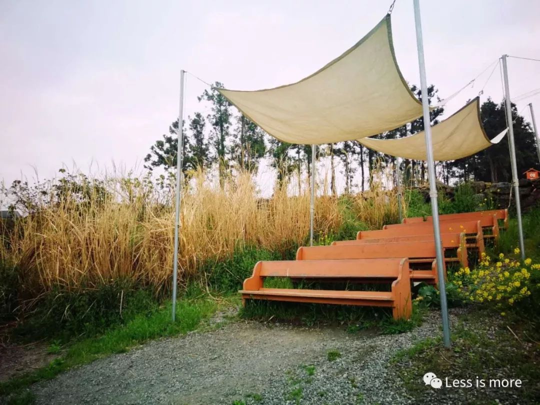 济州岛夜市推荐,韩国济州岛橘园咖啡馆在哪里