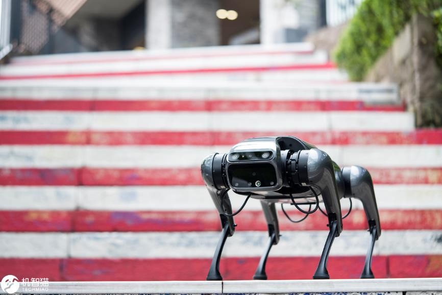 铁蛋四足仿生机器人,cyberdog铁蛋有什么用
