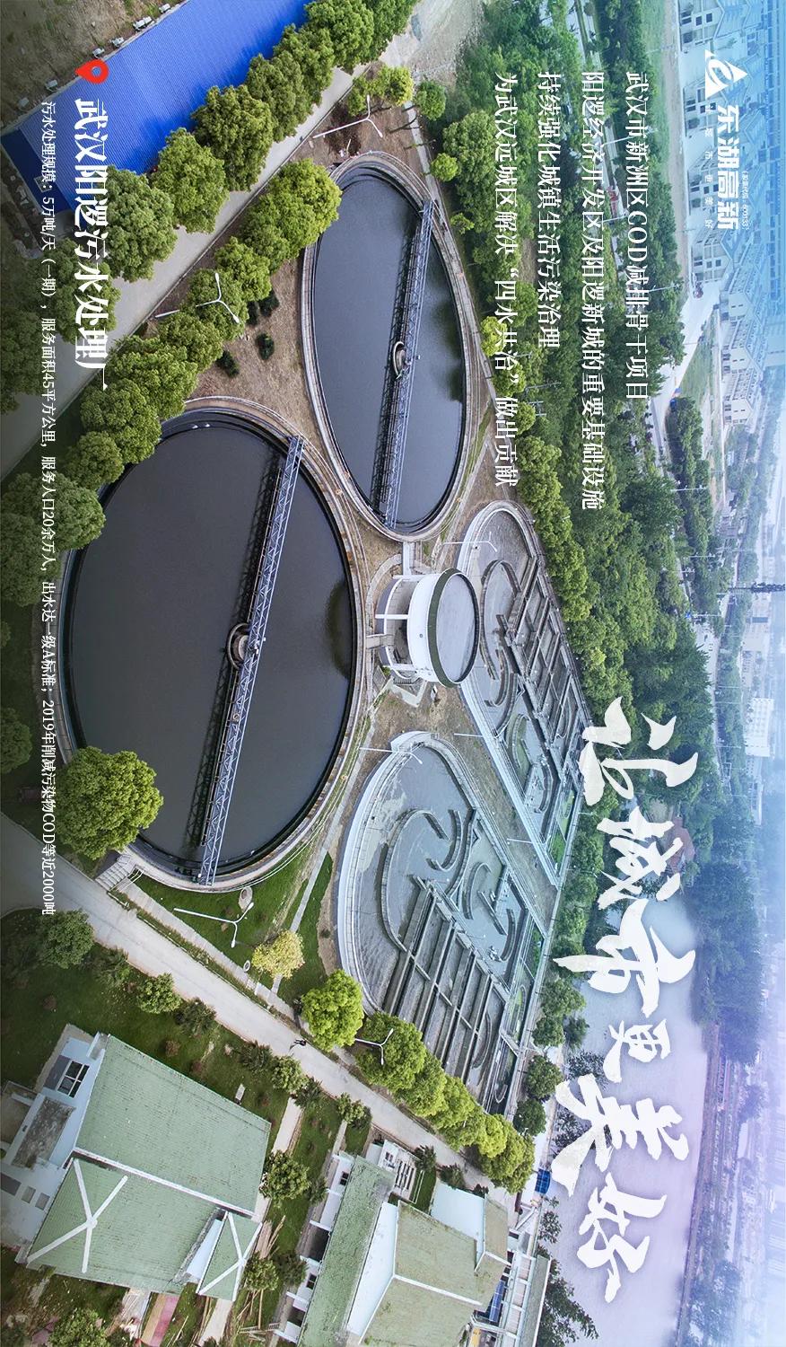 东湖高新集团的发展历程,图鉴图鉴