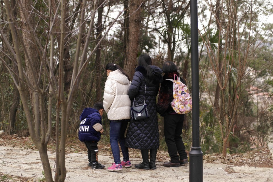 新手入门单反相机推荐10000元左右,摄影小白相机推荐4000价位微单