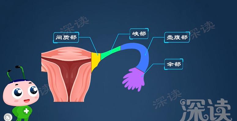 没有白带下腹痛会是附件炎吗,小腹胀痛有白带有妇科炎症吗