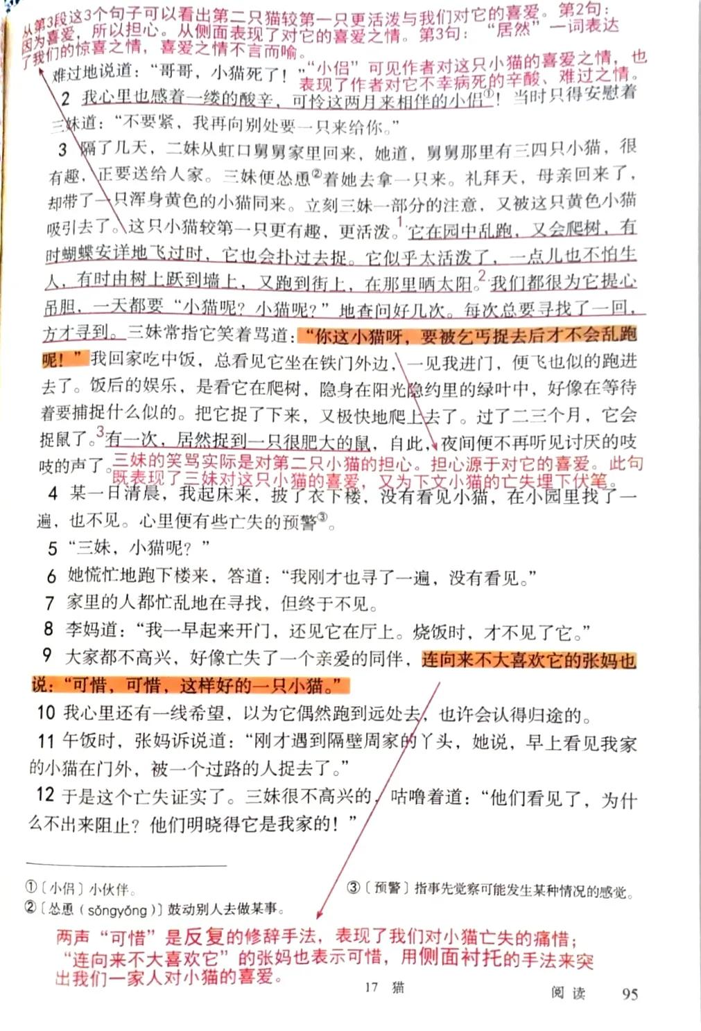 七上猫预习笔记,语文七年级上册人教版16课猫笔记