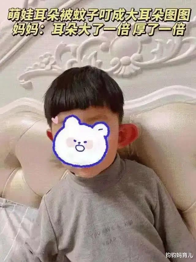 宝宝被蚊子叮咬最有效办法,宝宝被蚊子叮咬了很痒怎么办