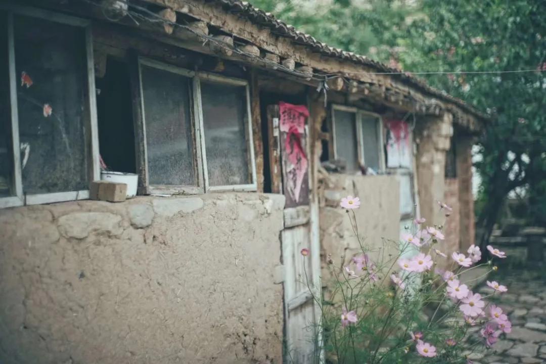 北京姑娘租的房子,北京姑娘自建房子