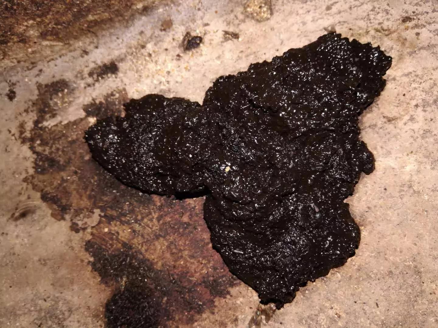 母猪胀肚,刚生仔猪拉稀母猪吃什么药