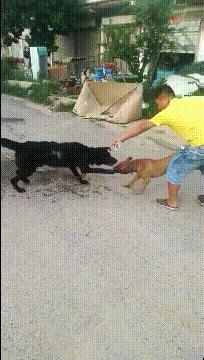 球不是这样踢滴搞笑图片,足球趣图搞笑图片