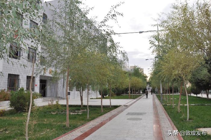 多彩校园歌曲完整版,多彩校园免费完整版