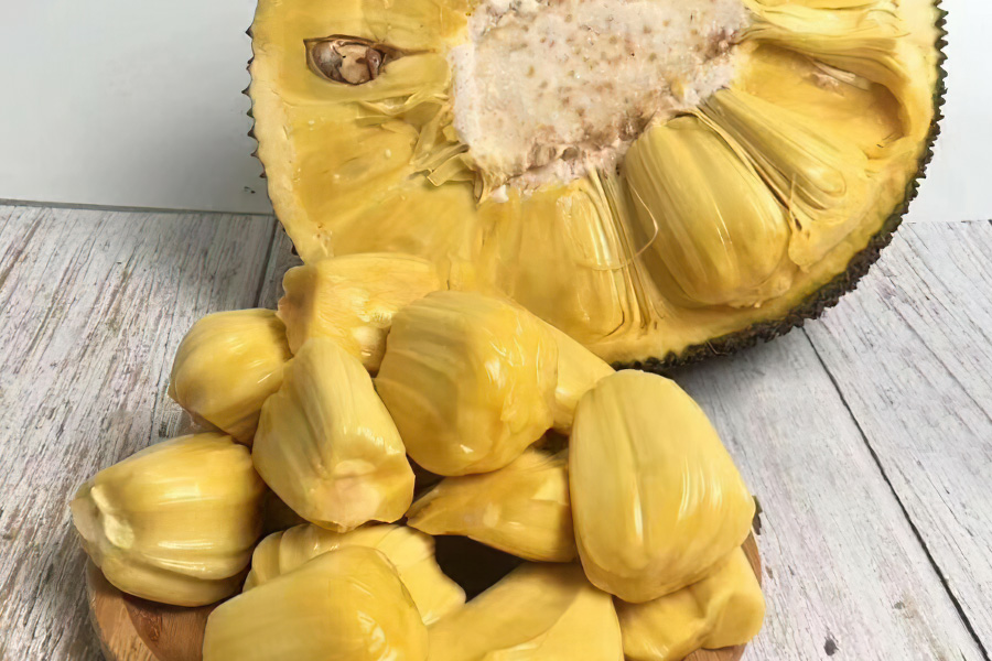 专业种植大树菠萝,种植菠萝收入高不高