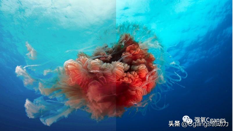 神秘博士2014圣诞节完整版,神秘博士圣诞特辑2023