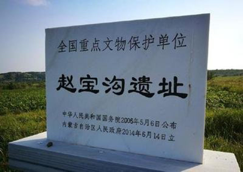 前面抱人，后面背鹿，这只虎是在干嘛呢？