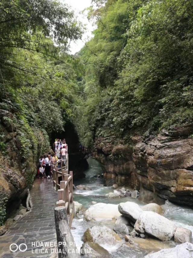 重庆黑山谷避暑适合吗,重庆避暑7天黑山谷