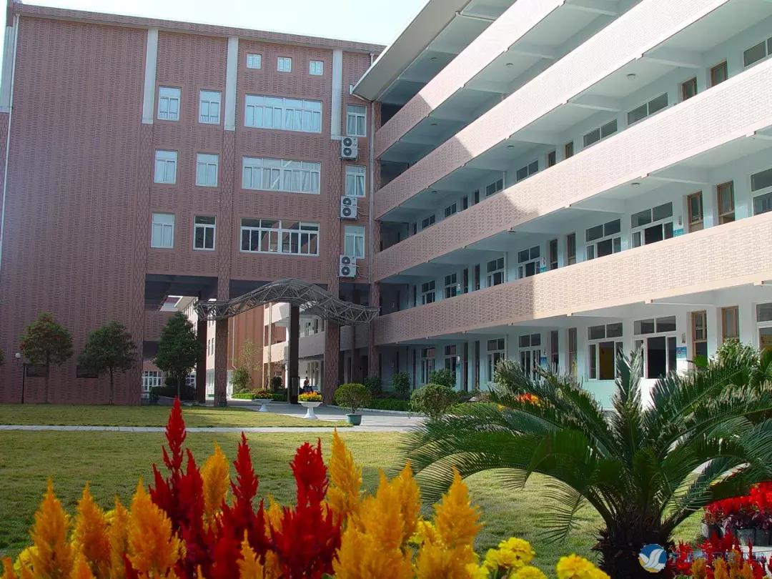 曾经的宁波实验小学,扒一扒校园事