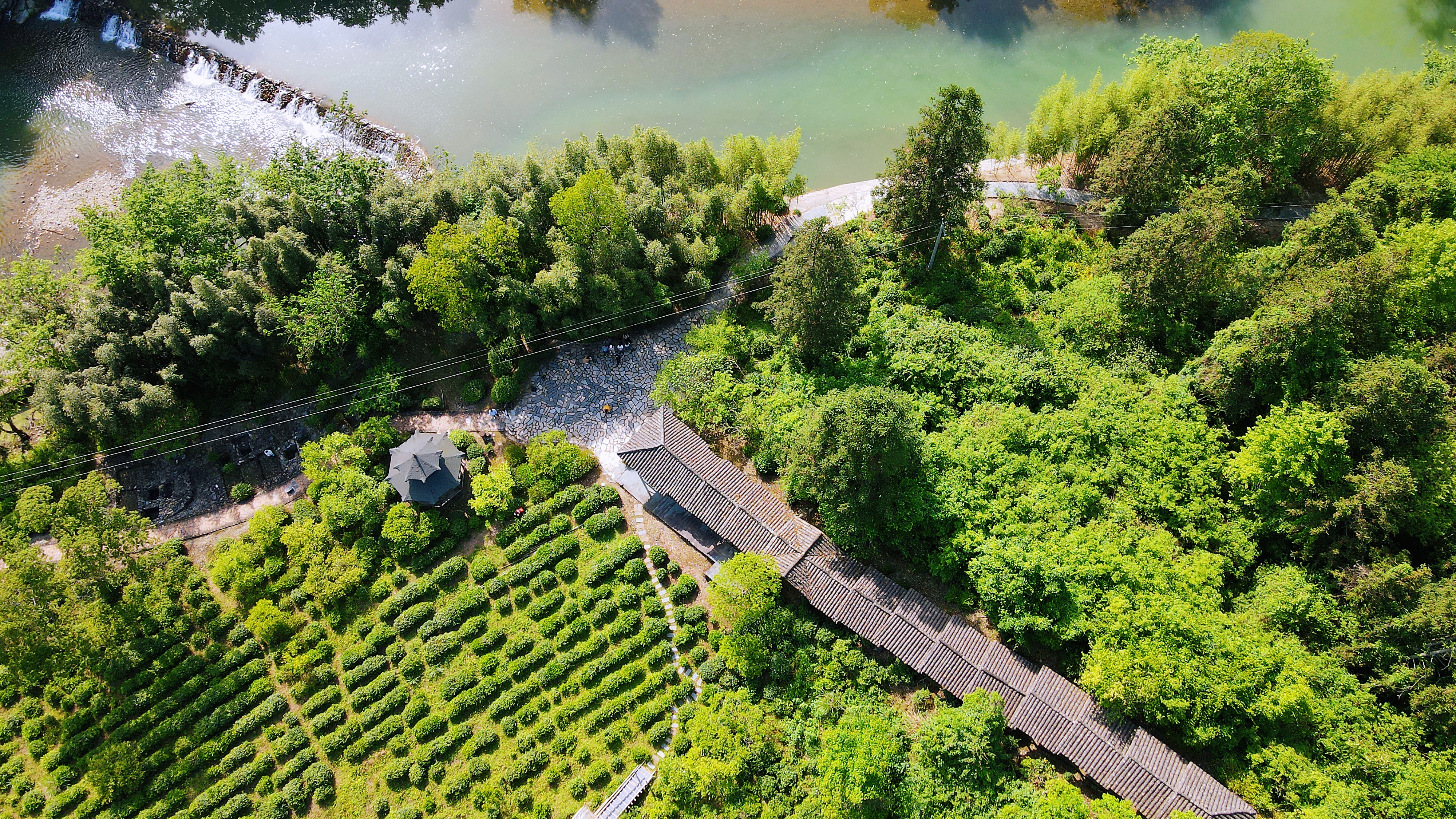 景德镇茶之源瓷之都,景德镇浮梁茶文化