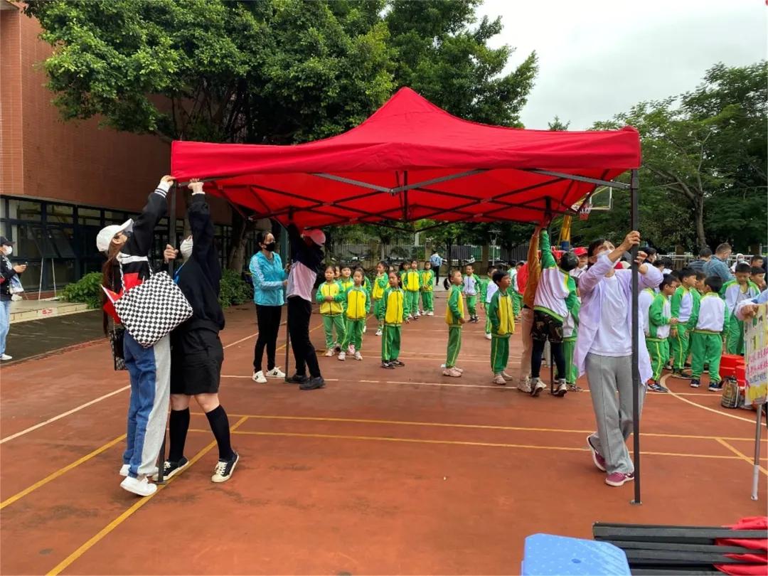 龙腾虎跃展英姿,龙腾虎跃展宏图