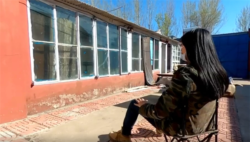 花8万改造北京小院,北京姑娘214天改造小院