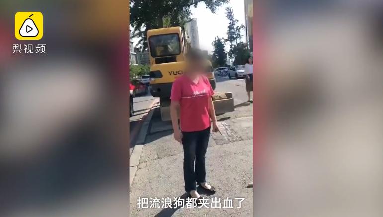 沈阳男女当街扑杀流浪狗,沈阳一男女当街抓狗