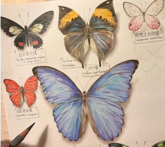 最强大脑水哥亲自做题,最强大脑水哥营养液