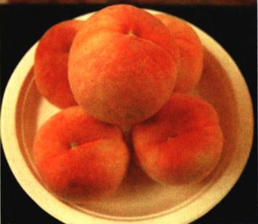 桃树苗7月份成熟品种,桃树苗品种如何选择