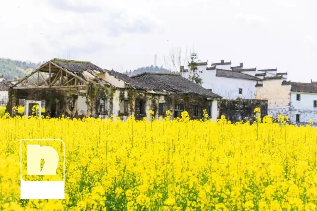 马卡龙清新色系搭配参考,马卡龙色系怎么搭配