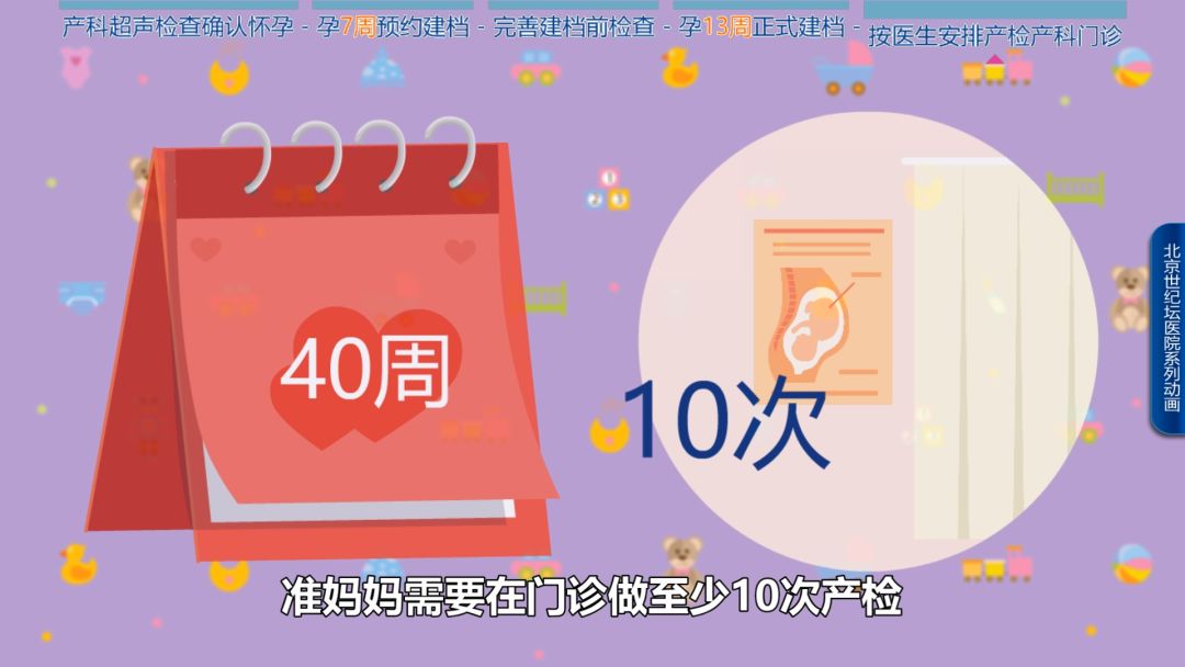 科普怀孕过程纪录片,科普动画怀孕