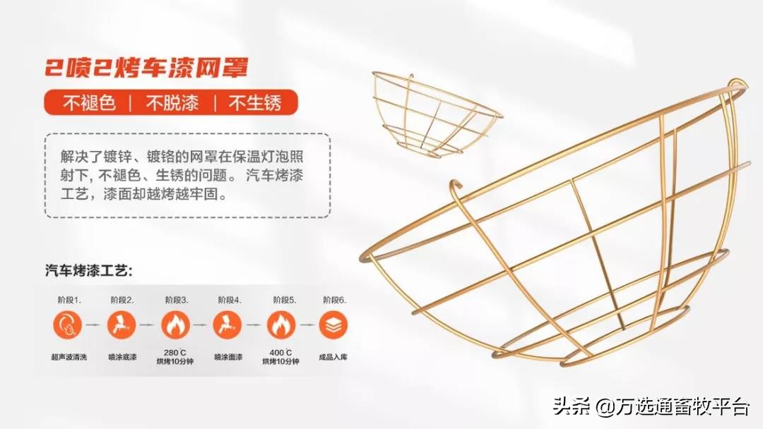 温暖相约“小红豆”,助力猪场新发展