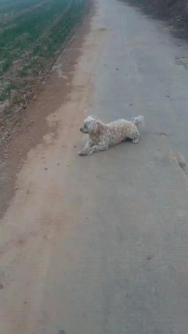 散文今夜我静静的想你,散文今夜我想你