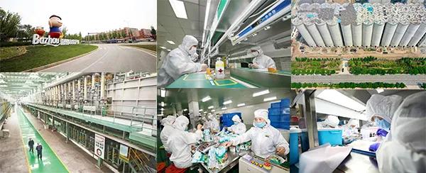 霸州益津八景是哪八景,霸州益津古韵