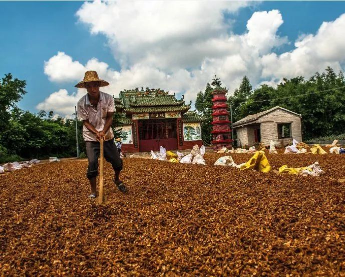 距海南20km有片处女地，比台湾风情比三亚便宜，路过都错过了