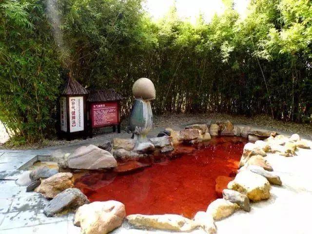 森波拉温泉度假村两天一夜游,倒数跨年狂欢夜