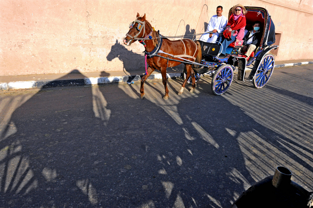 拍马都追不上的成语,拍马都赶不上的成语