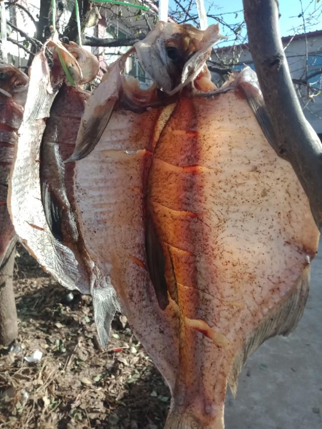 清蒸风干腊鱼,腊鱼清蒸的正确方法