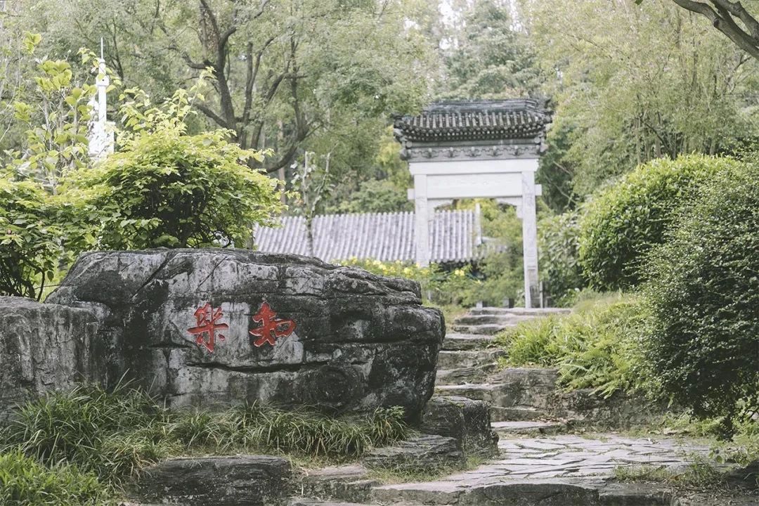 深圳经典一日游路线也太好玩了,深圳一日游经典线路