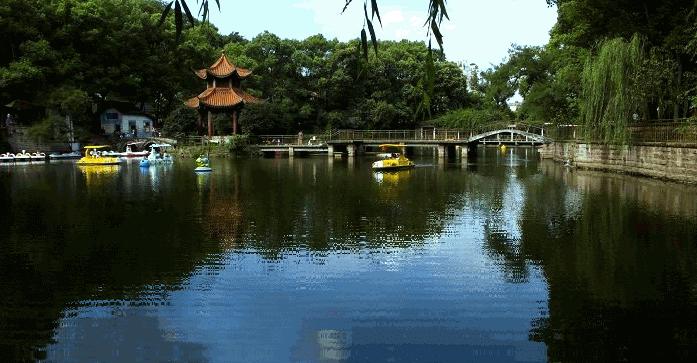 狗产后24小时内出现低血钙怎么办,宠物犬产后低血钙