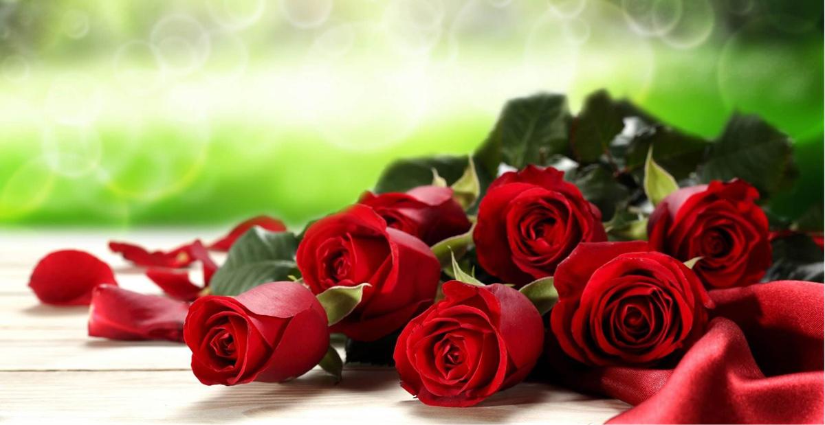 玫瑰花和什么活血化瘀效果最好,玫瑰花活血化瘀的效果怎么样