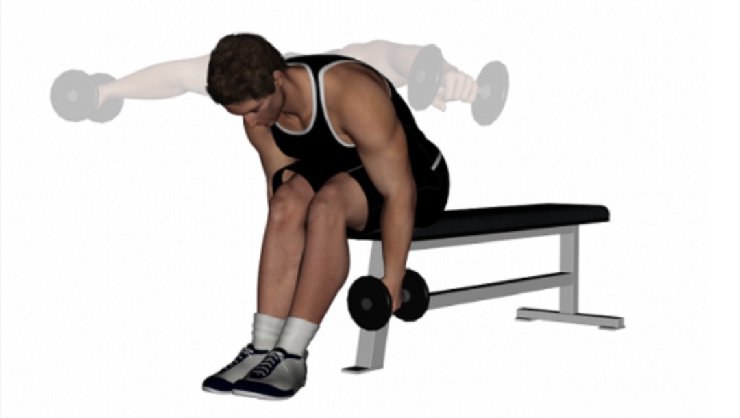 快速练出三角肌训练方法无器械,三角肌怎么练都不长